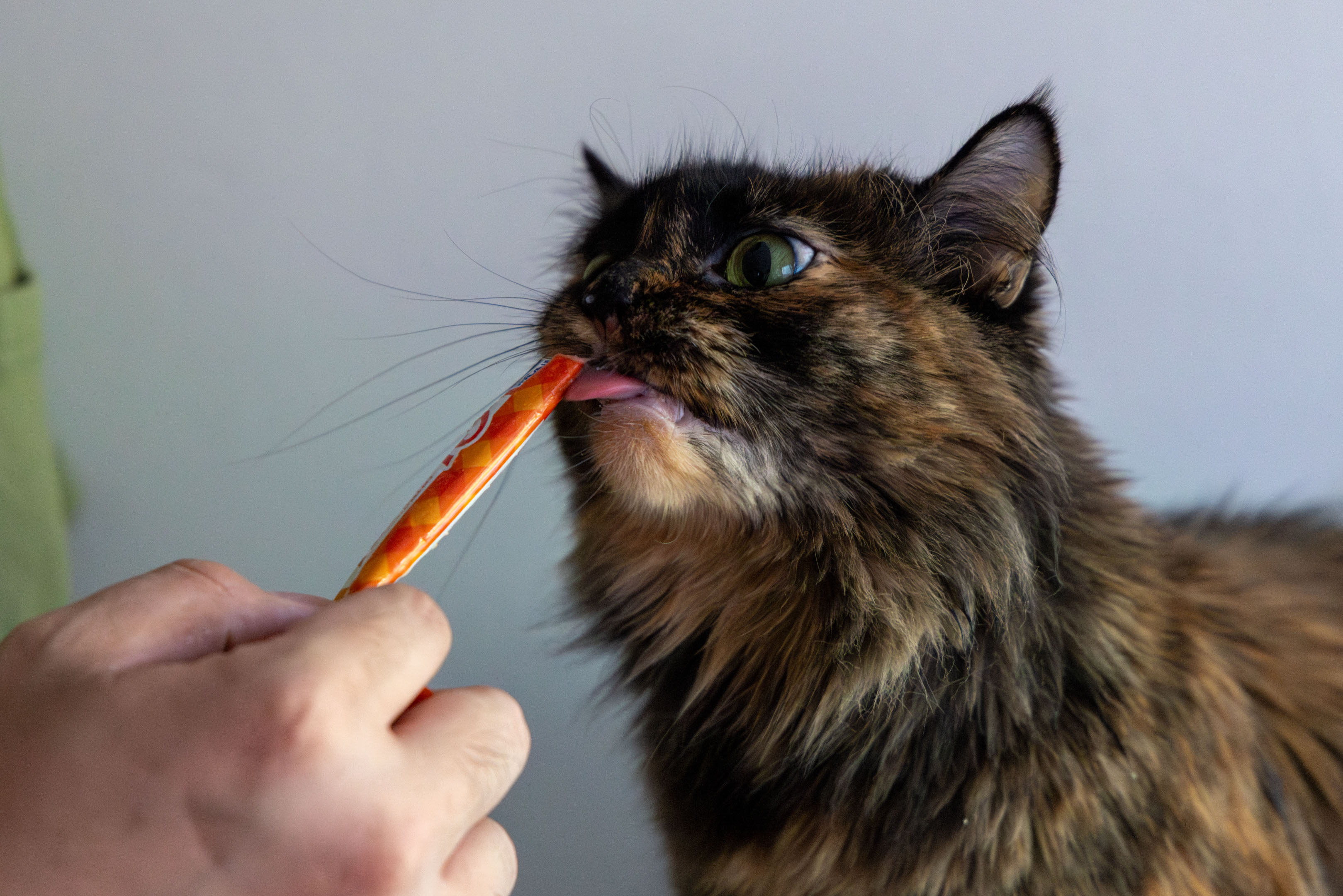 Caroline eating food