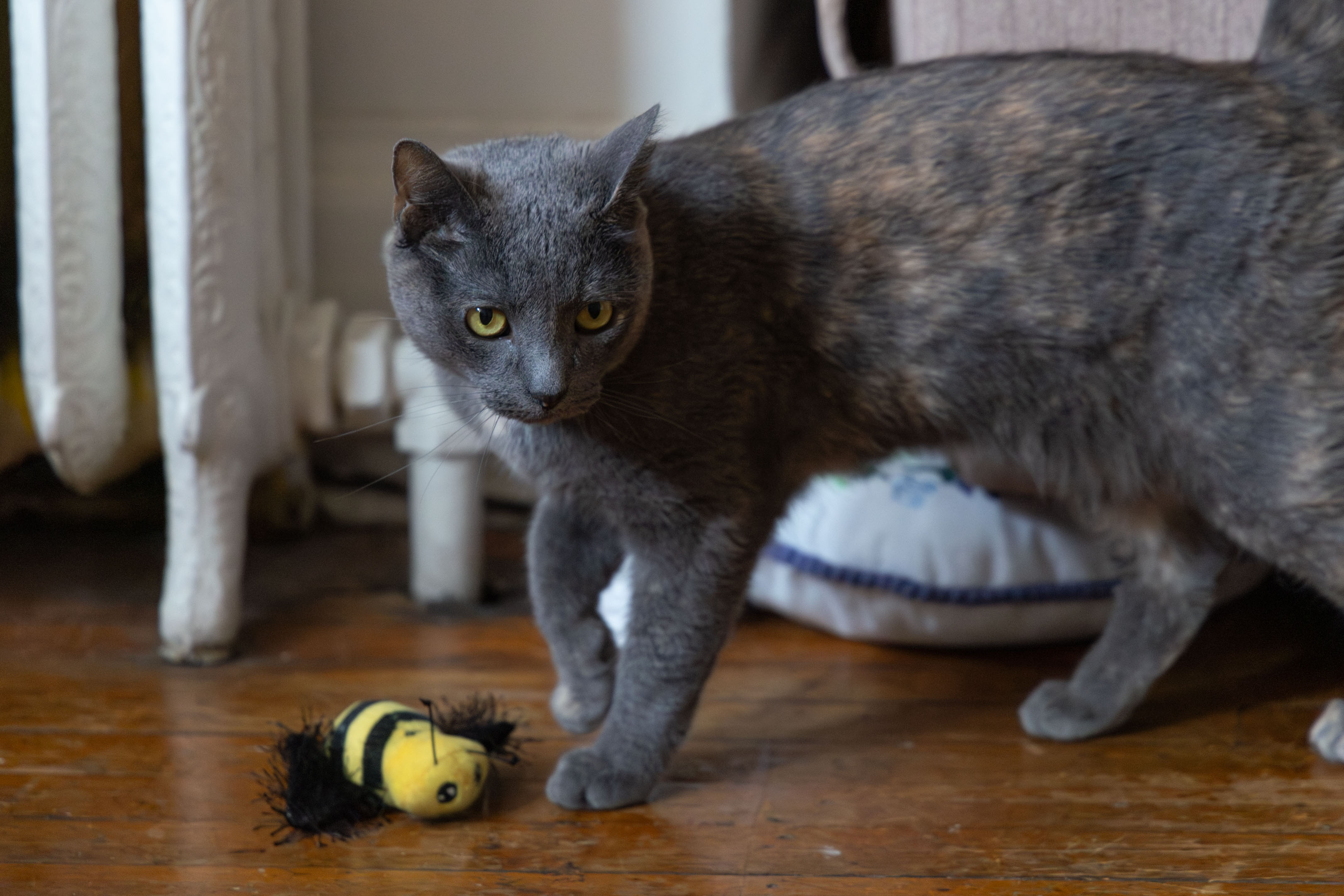 Mama with her toy