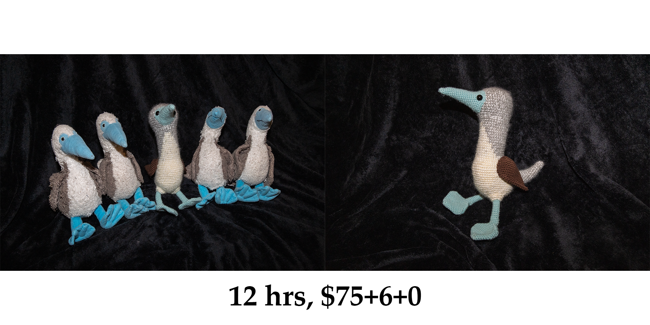 a crochet blue-footed booby, among four other blue-footed booby plushies