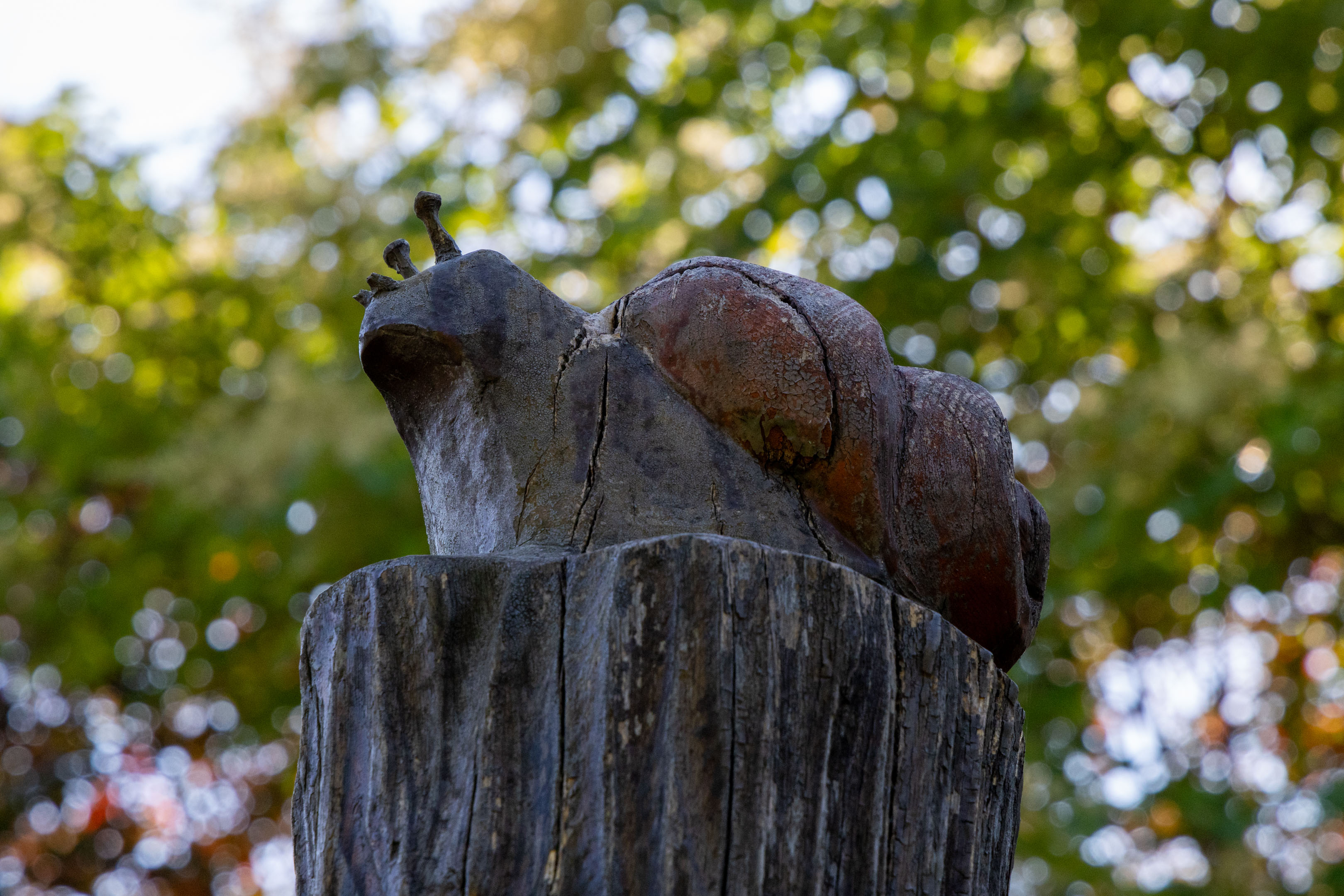 a wooden snail statue under the sun