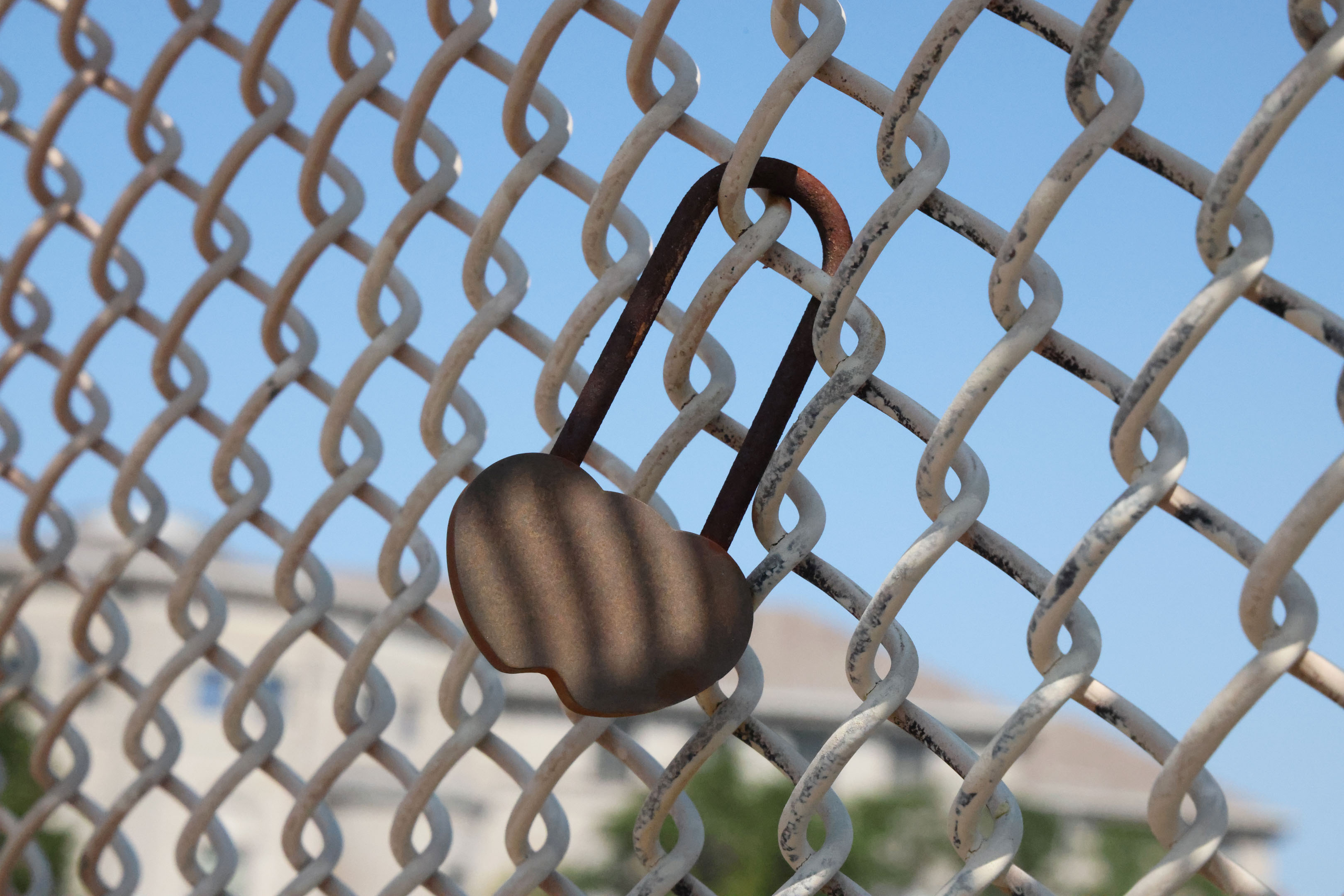 a heart shaped lock on the iron net over a bridge