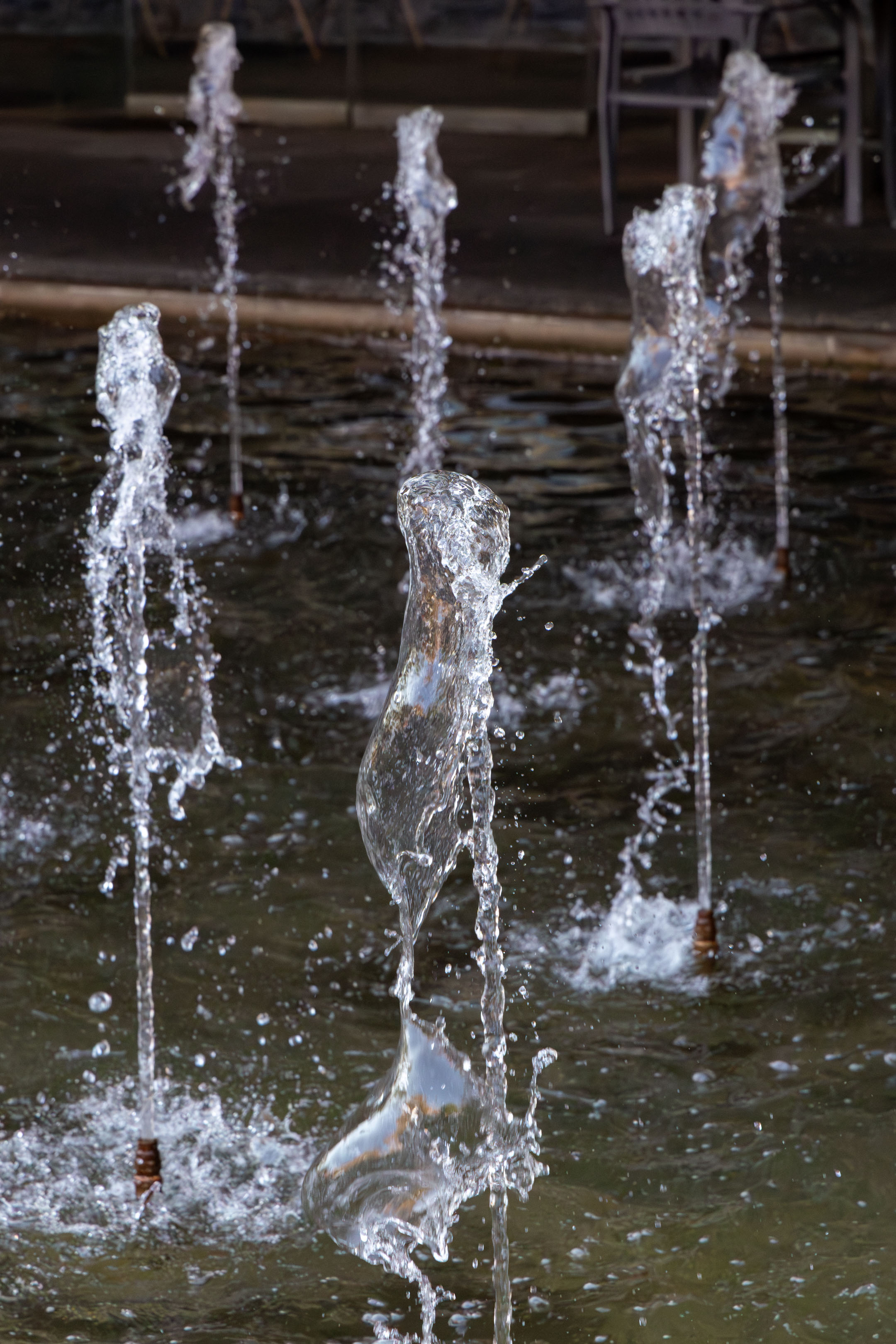 a water fountain in front of Carnegie Museum of Natural History