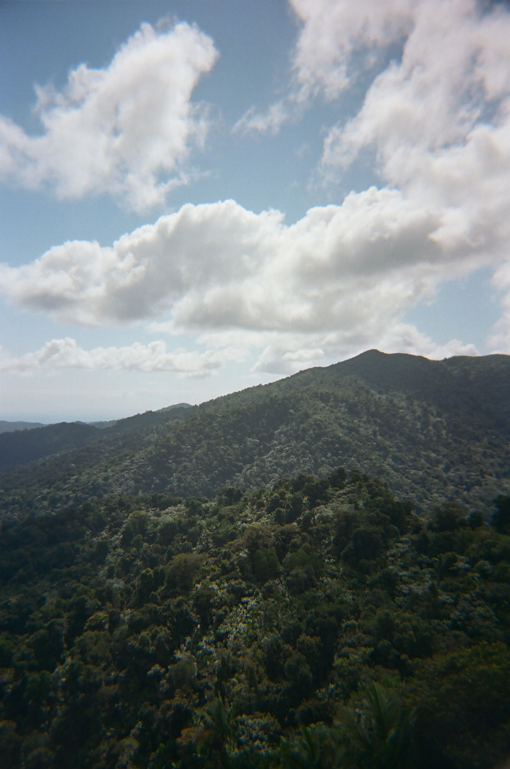 an overlook of El Yunque National Forest