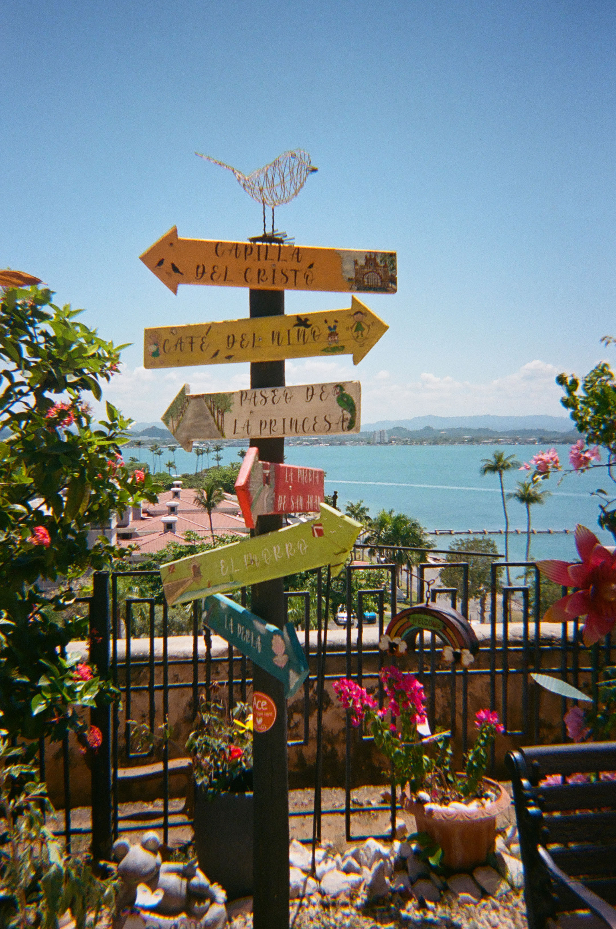 a colorful road sign with flowers and the ocean in the background
